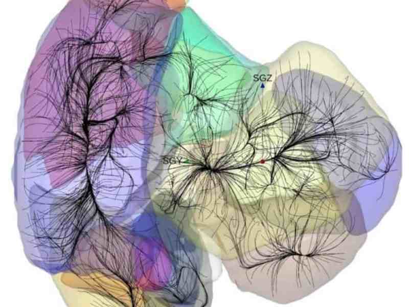 The Aetheric Network